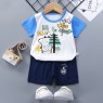 Wholesale pajamas Boys Summer Clothing Set  Short Sleeve Top T-Shirt and Pants Shorts 2PCS Set for Boy