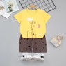 Boy Clothing Sets Casual T-Shirt Set and  Shorts Pure-Cotton Children Suit