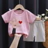 Summer  new style  Cotton Kids Boys Clothes T-shirts Shorts Baby boys Suit Kid Clothes Set Wholesale pajamas