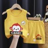 Wholesale Printed Style Short Sleeve Kids Clothing Set Children Apparel