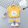 Best price with  Autumn 100% cotton long sleeve baby clothes sets