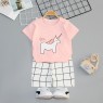 Boy Clothing Sets Casual T-Shirt Set and  Shorts Pure-Cotton Children Suit