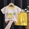 Summer  new style  Cotton Kids Boys Clothes T-shirts Shorts Baby boys Suit Kid Clothes Set Wholesale pajamas