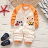 Newborn cotton long sleeve one piece clothes baby baby home long sleeve clothes children's home pajamas