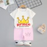 Boy Clothing Sets Casual T-Shirt Set and  Shorts Pure-Cotton Children Suit