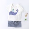 New summer 0-6 year old children's suit half-sleeved children's T-shirt sports home clothes  direct sales